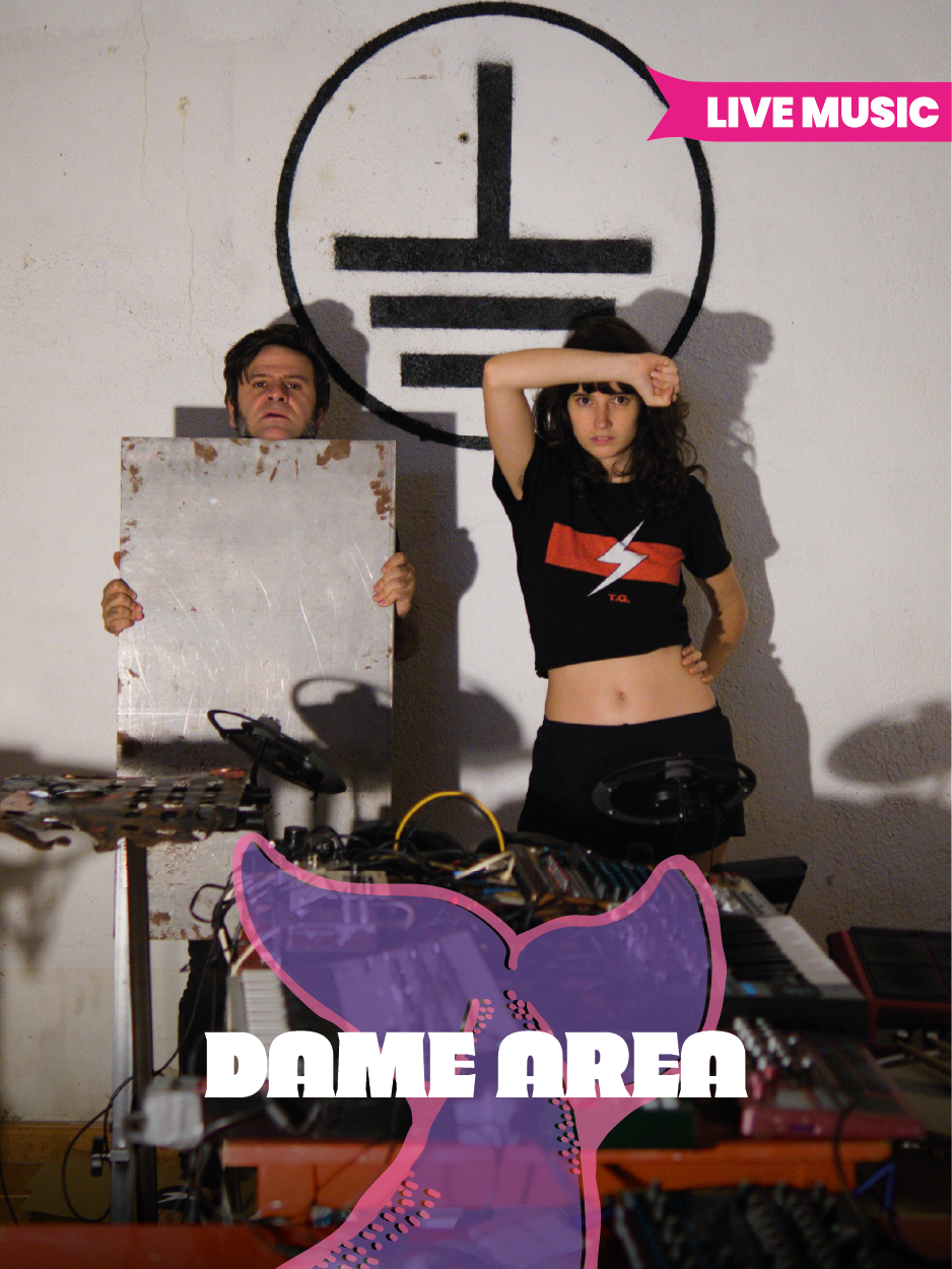 damearea